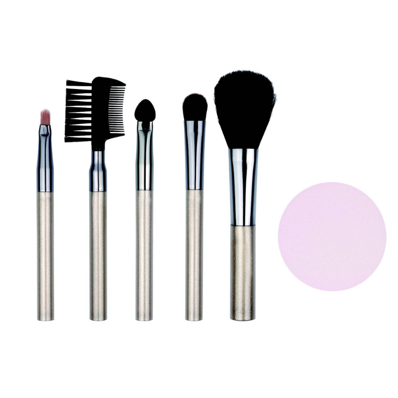 Set Brochas Maquillaje + Esponja