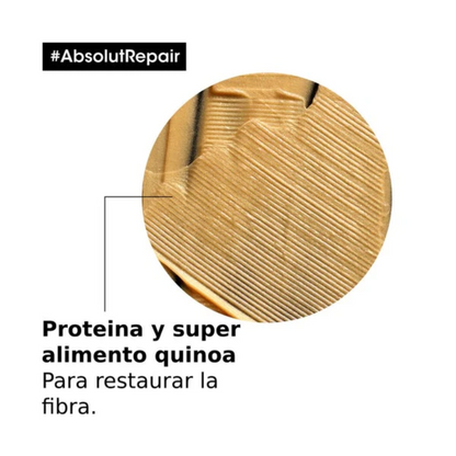 Shampoo Serie Expert Absolut Repair